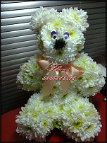 www.floristic.ru - .   ....