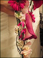 www.floristic.ru - .  .