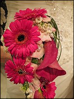 www.floristic.ru - .  .