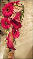 www.floristic.ru - .  .