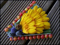 www.floristic.ru - . -  - 2011 - 