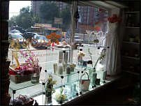 www.floristic.ru - .       - ?