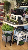 www.floristic.ru - Флористика. Экспонировать витрину и товар в ЦВЕТОЧНОМ магазине-это как?