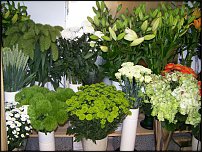 www.floristic.ru - Флористика. Экспонировать витрину и товар в ЦВЕТОЧНОМ магазине-это как?