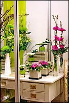 www.floristic.ru - Флористика. Экспонировать витрину и товар в ЦВЕТОЧНОМ магазине-это как?