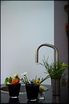 www.floristic.ru - .   