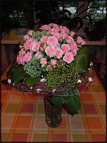 www.floristic.ru - .   