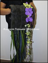 www.floristic.ru - .   (Typha latifolia).