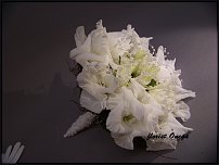 www.floristic.ru - .  .