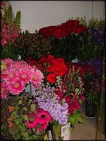 www.floristic.ru - Флористика. Экспонировать витрину и товар в ЦВЕТОЧНОМ магазине-это как?