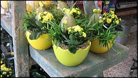 www.floristic.ru - Флористика. Экспонировать витрину и товар в ЦВЕТОЧНОМ магазине-это как?