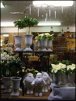 www.floristic.ru - Флористика. Экспонировать витрину и товар в ЦВЕТОЧНОМ магазине-это как?