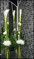 www.floristic.ru - Флористика. Экспонировать витрину и товар в ЦВЕТОЧНОМ магазине-это как?