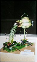 www.floristic.ru - .    