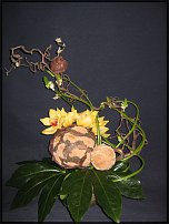www.floristic.ru - .   (Typha latifolia).
