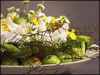 www.floristic.ru - .  .