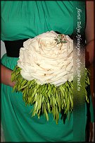 www.floristic.ru - . 