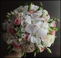 www.floristic.ru - .  .