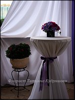 www.floristic.ru - .    