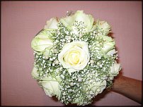 www.floristic.ru - .  .