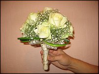 www.floristic.ru - .  .