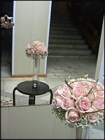 www.floristic.ru - Флористика. Вопросы новичков.
