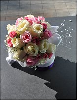 www.floristic.ru - .  .