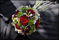 www.floristic.ru - .  .