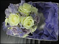 www.floristic.ru - .  .