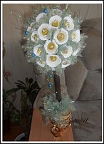 www.floristic.ru - .     -,  ..