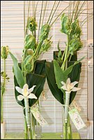 www.floristic.ru - Флористика. Экспонировать витрину и товар в ЦВЕТОЧНОМ магазине-это как?