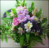 www.floristic.ru - .  