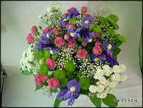 www.floristic.ru - .  