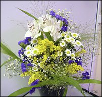 www.floristic.ru - .  