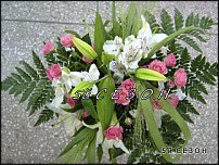 www.floristic.ru - .  