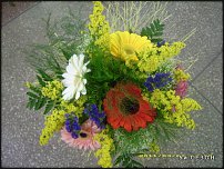 www.floristic.ru - .  