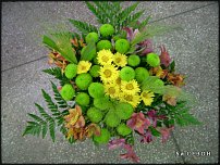 www.floristic.ru - .  