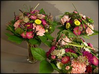 www.floristic.ru - .   