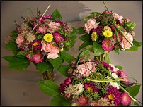 www.floristic.ru - .   