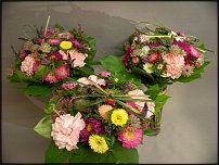 www.floristic.ru - .   