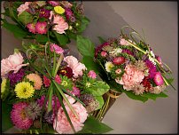 www.floristic.ru - .   