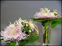 www.floristic.ru - .   