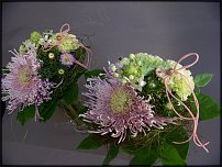 www.floristic.ru - .   