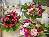 www.floristic.ru - .  