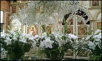 www.floristic.ru - .    