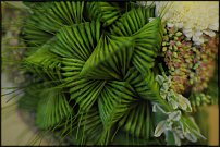 www.floristic.ru - .      