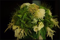 www.floristic.ru - .      