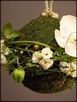 www.floristic.ru - .  - 