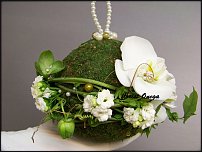 www.floristic.ru - .  - 