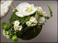 www.floristic.ru - .  - 